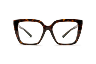 2510105640 Tortoise image-1