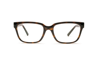 2510106100 Tortoise image-1