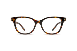 2640100500 Tortoise image-1