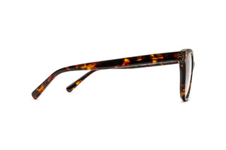 2640100500 Tortoise image-2