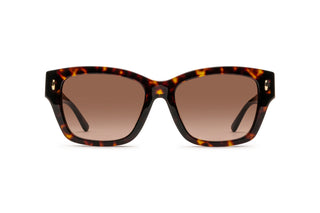 2640100590 Tortoise image-1