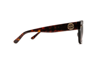 2640100590 Tortoise image-2