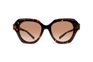 2640100700 Tortoise image-1