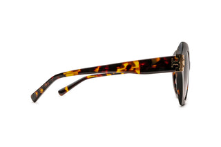 2640100700 Tortoise image-2