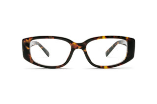 2640100770 Tortoise image-1