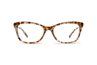 2640100780 Tortoise image-1