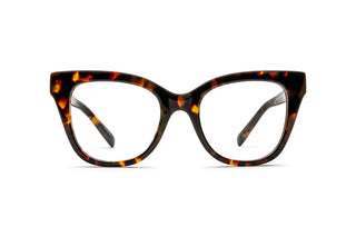 2640100800 Tortoise image-1