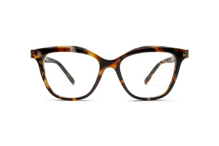 2640100930 Tortoise image-1