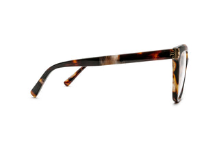 2640100930 Tortoise image-2