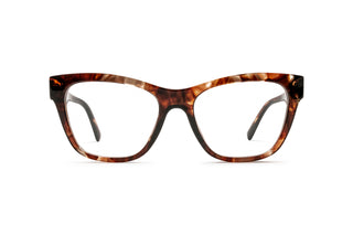 2710102650 Tortoise image-1