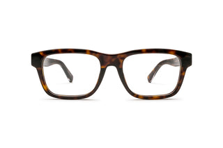 2710102830 Tortoise image-1