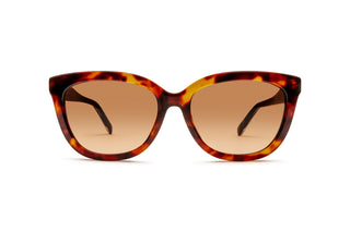 2740106940 Tortoise image-1