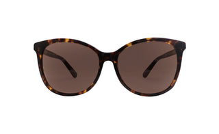 2741101850 Tortoise image-1