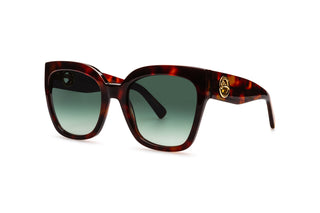 2780101680 Tortoise image-3
