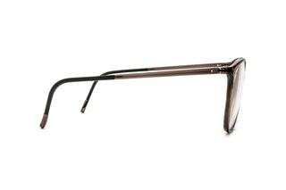 3030106230 Tortoise image-2