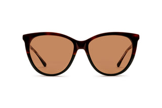 3060102720 Tortoise image-1