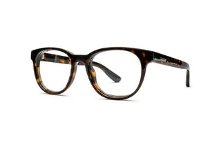 3060102940 Tortoise image-3