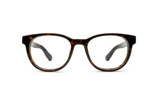 3060102940 Tortoise image-1