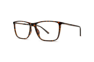 3060102960 Tortoise image-3