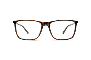 3060102960 Tortoise image-1
