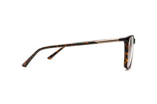 3060102960 Tortoise image-2