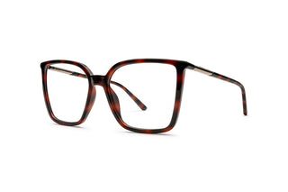 3060102970 Tortoise image-3