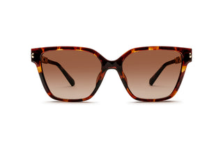 3090107860 Tortoise image-1