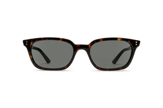 3330120140 Tortoise image-1