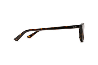 3330120140 Tortoise image-2