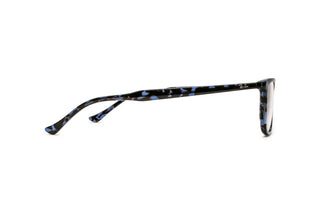 3330120390 Tortoise image-2