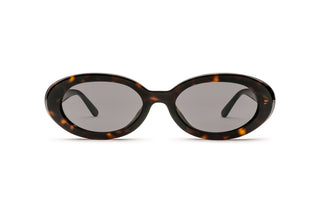 3330124670 Tortoise image-1