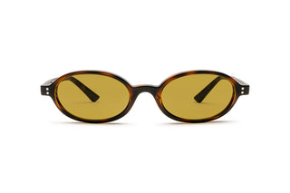 3330124810 Tortoise image-1