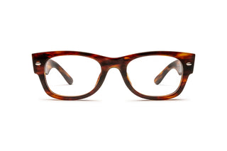 3330124850 Tortoise image-1