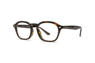3330124960 Tortoise image-3