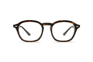 3330124960 Tortoise image-1