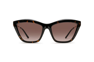 3400106970 Tortoise image-1