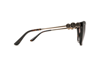 3400106970 Tortoise image-2