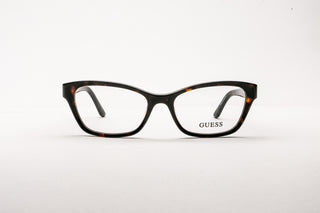 3400107380 Tortoise image-1