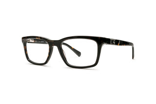 3400107460 Tortoise image-3
