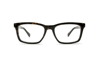 3400107460 Tortoise image-1