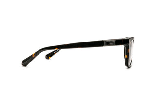 3400107460 Tortoise image-2