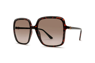 3400107540 Tortoise image-3