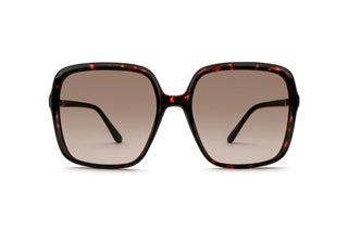3400107540 Tortoise image-1