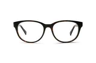 3400107870 Tortoise image-1