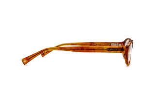 3400107890 Tortoise image-2