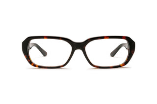 3400107980 Tortoise image-1