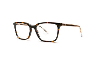 3400108050 Tortoise image-3