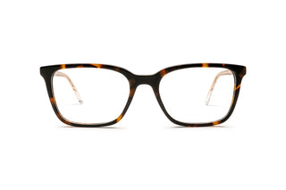 3400108050 Tortoise image-1