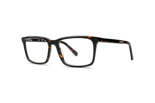 3400108440 Tortoise image-3