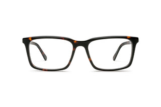 3400108440 Tortoise image-1